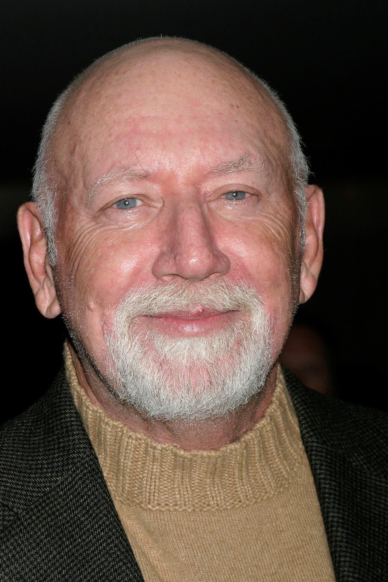 Donald P Bellisario