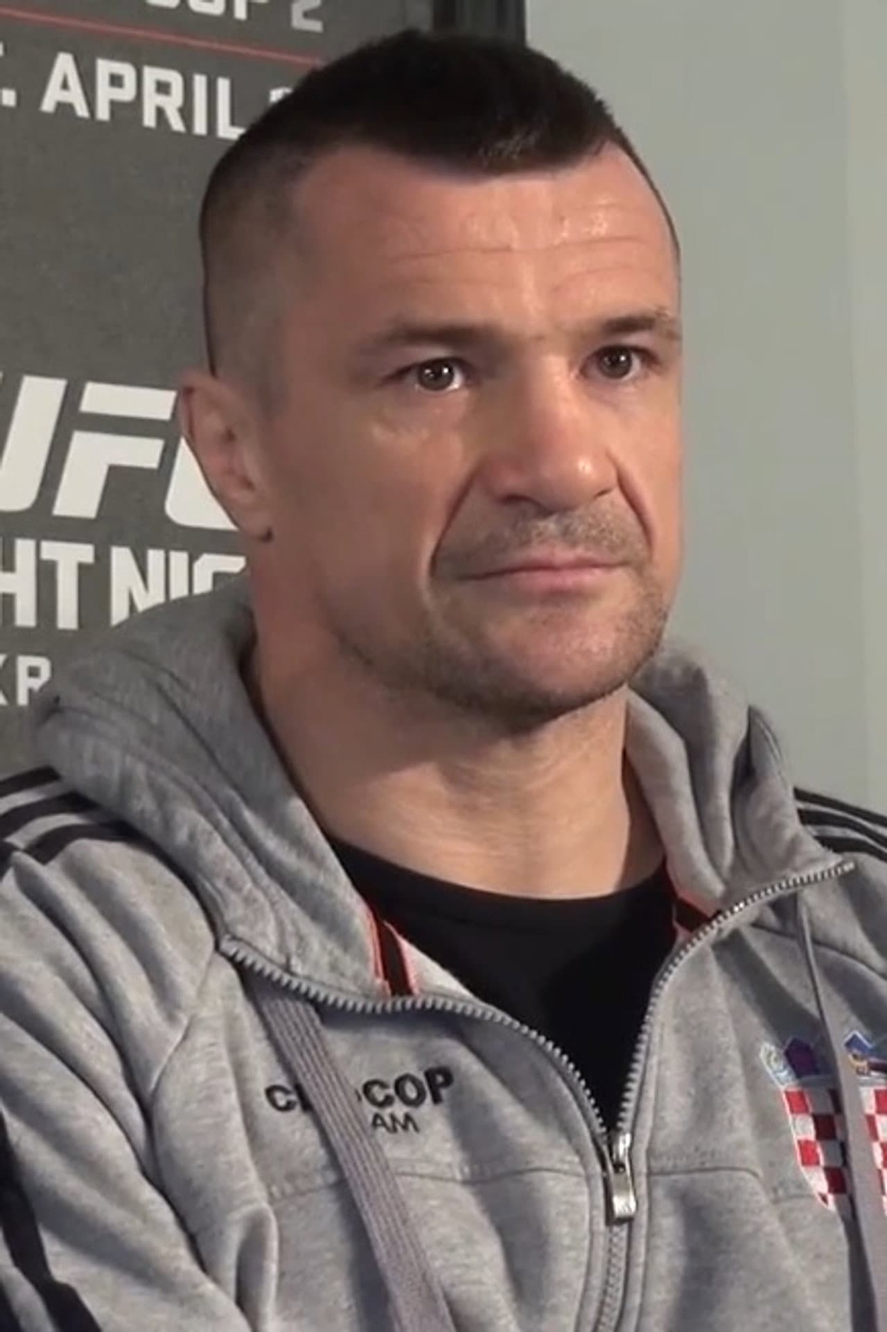 Mirko Filipovi
