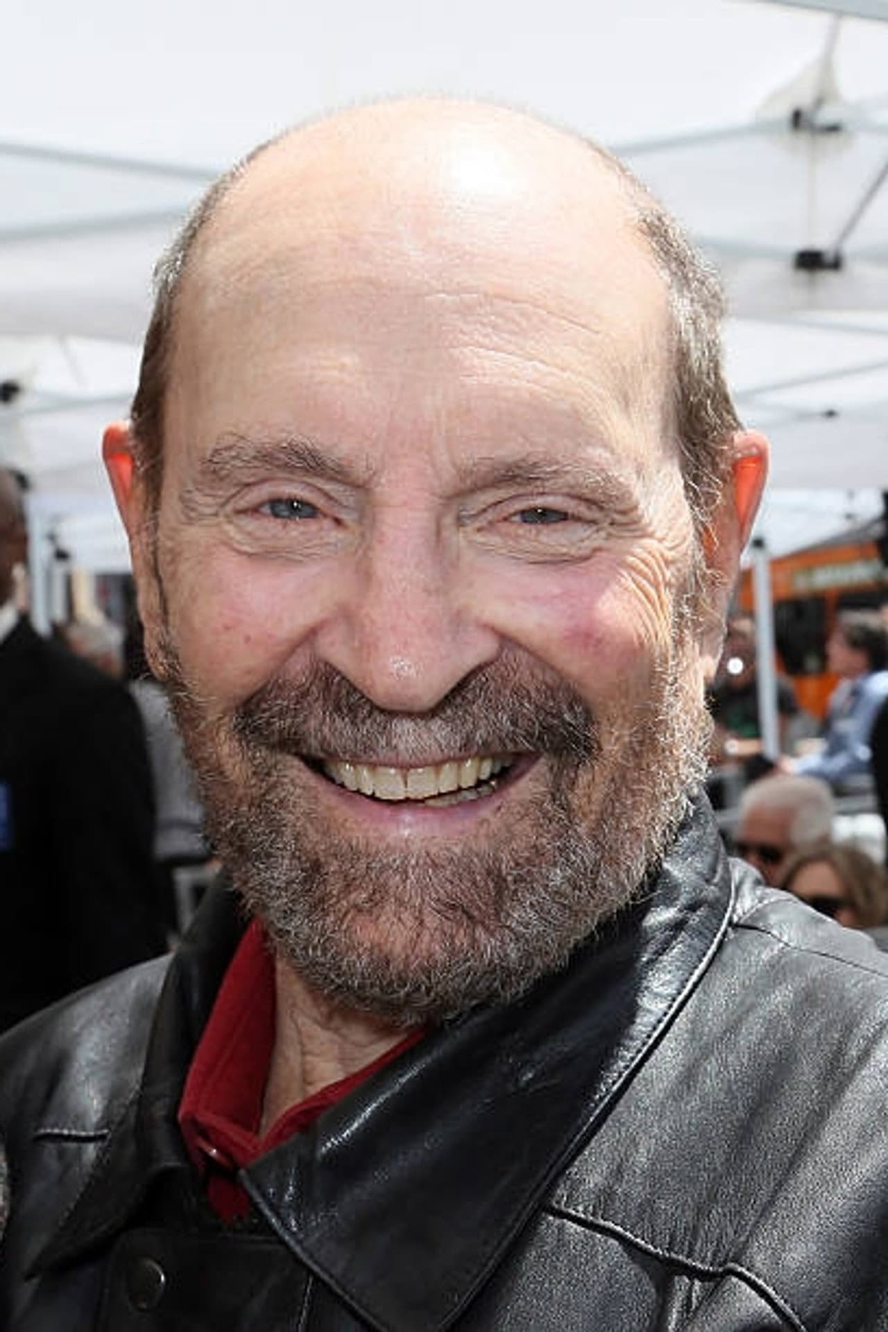 Alan J Levi