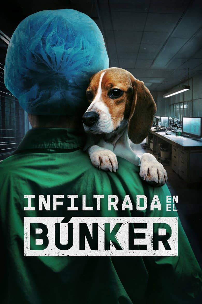 Undercover Inside the Bunker