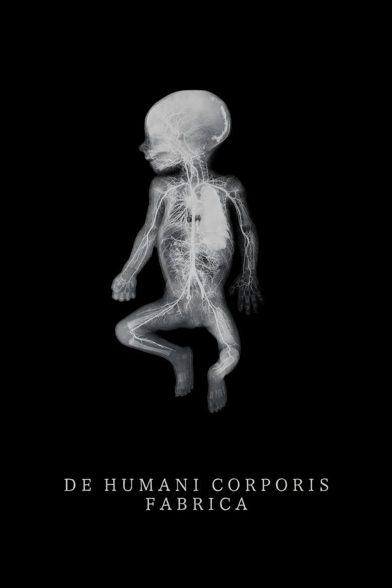 The Fabric of the Human Body