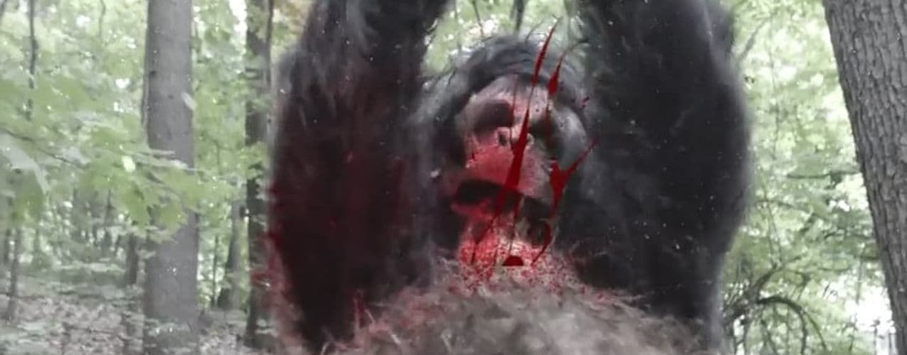 Frozen Sasquatch