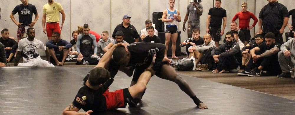 Ultimate Fighter - Season 28