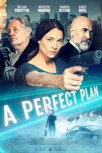 A Perfect Plan