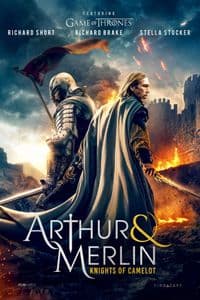 Arthur & Merlin: Knights of Camelot
