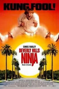 Beverly Hills Ninja