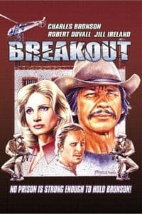 Breakout (1975)