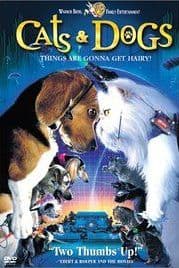 Cats and Dogs