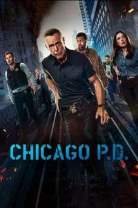 Chicago PD - Season 13