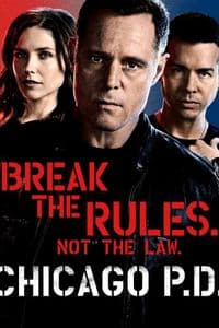 Chicago PD - Season 2