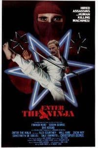 Enter The Ninja