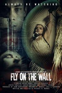 Fly On The Wall