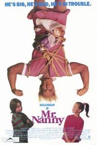 Mr Nanny