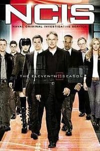 NCIS - Season 11