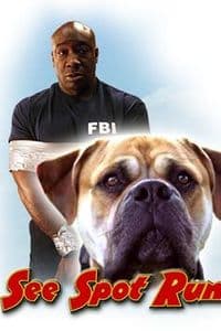 See Spot Run