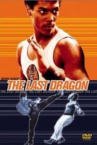 The Last Dragon