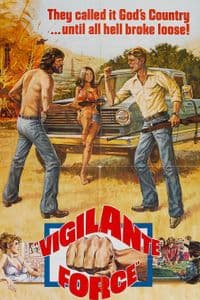 Vigilante Force