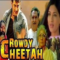 Rowdy Cheetah