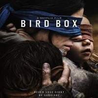 Bird Box