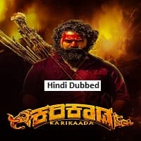 Karikaada