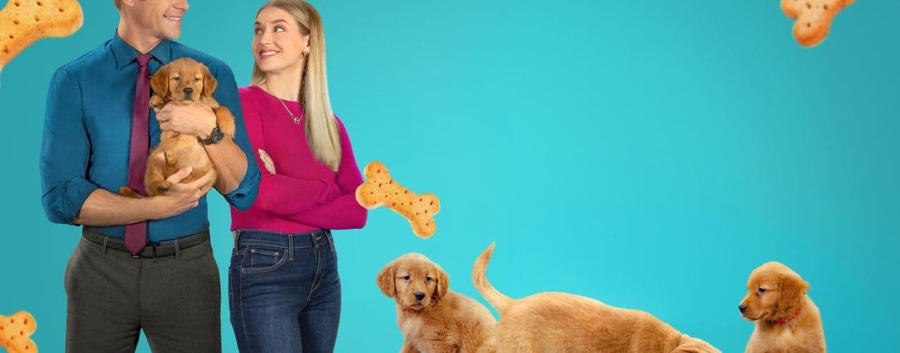 Everything Puppies