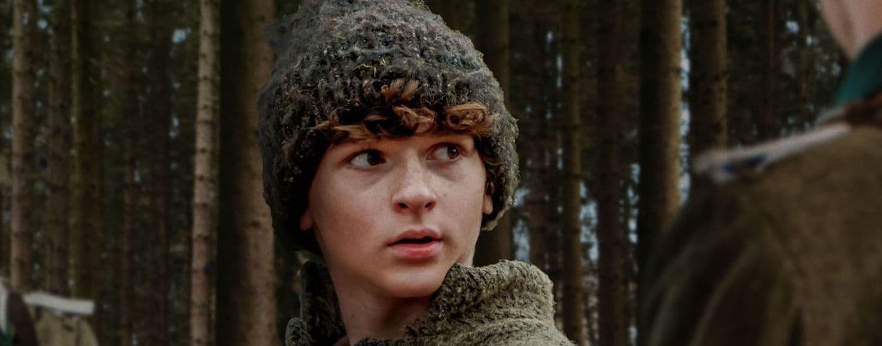 The Boy in the Woods