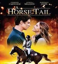 A Horse Tail