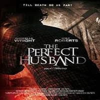 The Perfect Husband