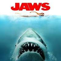 Jaws