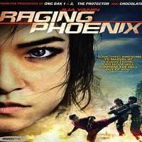 Raging Phoenix