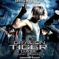 Dragon Tiger Gate