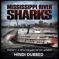 Mississippi River Sharks