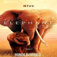 The Elephant Queen