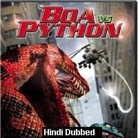 Boa vs. Python