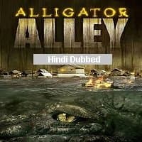 Alligator Alley