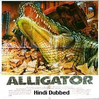 Alligator