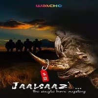 Jaalsaazi