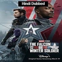 The Falcon and the Winter Soldier