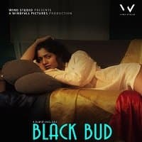 Black Bud