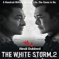 The White Storm 2: Drug Lords (2019) Hin...