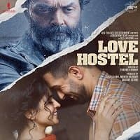 Love Hostel