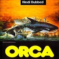 Orca The Killer Whale