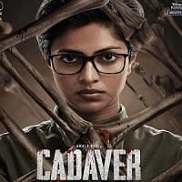 Cadaver