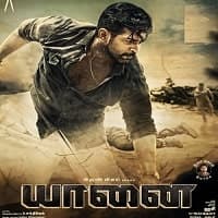 Yaanai (2022) Unofficial Hindi Dubbed Fu...