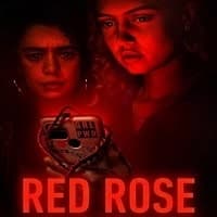 Red Rose