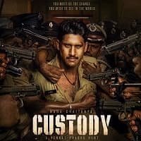 Custody