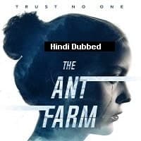 The Ant Farm