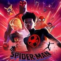Spider-Man: Across the Spider-Verse (202...