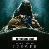 Cobweb
