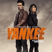 Yankee